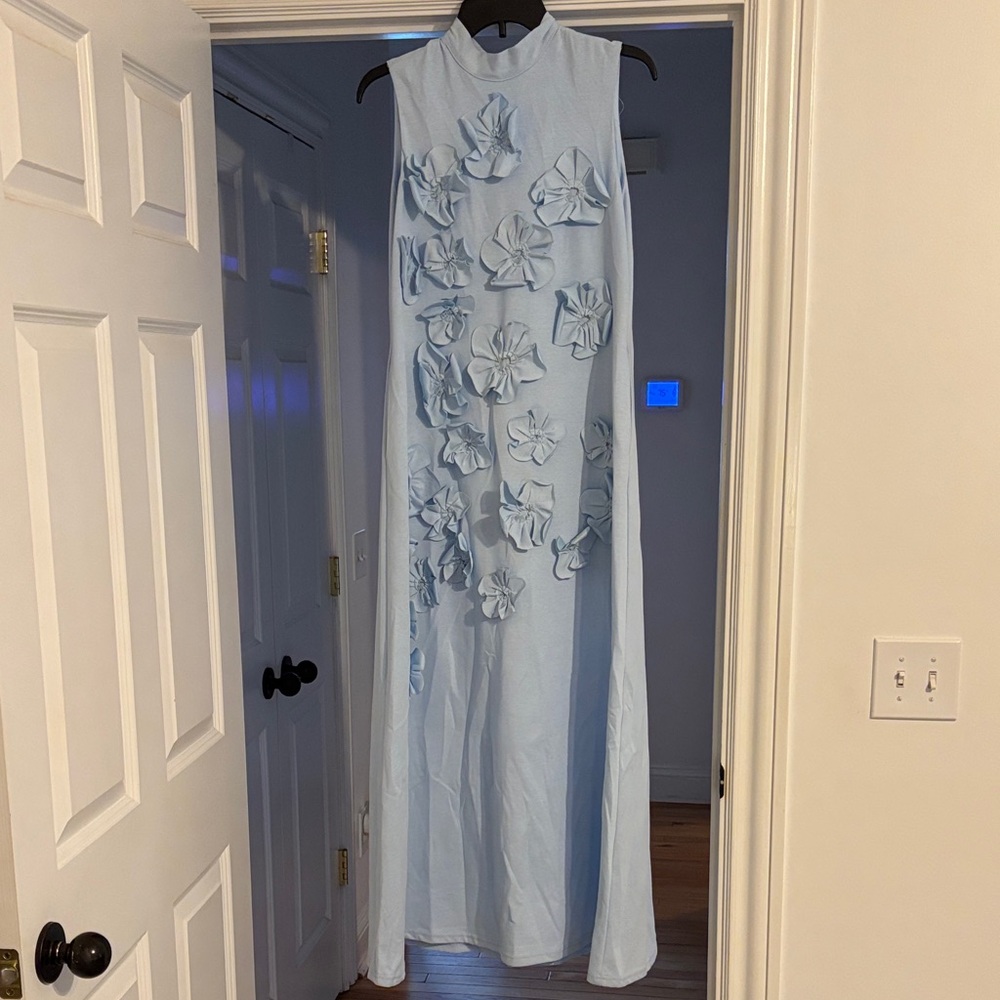 Sleeveless Light Blue Maxi Dress with 3D Floral Appliqué